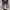DR MARTENS MADE IN ENGLAND PURPLE ( RARE) photo 2