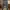 Celana  Joger Hareem Army Camo photo 2