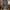 Celana  Joger Hareem Army Camo