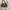 shoulder bag bershka motif leopard  photo 1