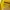 BIE HIN TAILOR Jas Setel Kuning photo 2
