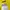 BIE HIN TAILOR Jas Setel Kuning photo 3