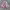 Yue Hua White & Pink Floral Cheongsam  photo 1
