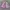Yue Hua White & Pink Floral Cheongsam 