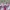 Yue Hua White & Pink Floral Cheongsam  photo 9
