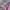 Yue Hua White & Pink Floral Cheongsam  photo 4