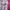 Yue Hua White & Pink Floral Cheongsam  photo 5