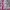 Yue Hua White & Pink Floral Cheongsam  photo 3