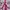 Yue Hua White & Pink Floral Cheongsam  photo 7