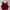 Nine Studio Deep Red Cropped Vest Top