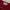 Nine Studio Deep Red Cropped Vest Top photo 2