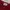 Nine Studio Deep Red Cropped Vest Top