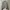 H&M Light Grey Cropped Blazer Jacket photo 1