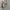 Nike ACG Hoodie RARE Colour "Cargo Khaki" (Green) Embroidery photo 3