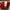 BICYCLE CAP WILIER TRIESTINA MADE IN ITALY photo 5