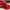 BICYCLE CAP WILIER TRIESTINA MADE IN ITALY photo 1