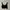 H&M Black Ribbed Knit Crop Top photo 1