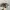 Spartan Logo Realtree hat by Signatures photo 3