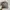 Spartan Logo Realtree hat by Signatures photo 2