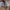 VANS Vintage Pria white tan red black gray yellow photo 8