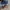 VANS Vintage Pria white tan red black gray yellow photo 3