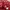 Polham Streetwear Casual Hoody Pria red photo 4