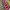 Carlo Colucci 3D Knit Sweater photo 5