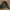 RARE AW 99/00 Maharishi Assymetric Curved Jacket photo 2