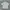 Vintage Ethnic White Cheongsam Shirt  