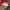 Puma Vintage Puffer jacket Pria red photo 5