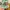 Topi Mangone's Bachelor Party rope hat photo 1