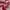 VANS AUTHENTIC RED CHILI photo 7