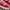 VANS AUTHENTIC RED CHILI photo 2