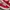 VANS AUTHENTIC RED CHILI