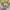 sweater rajut crop turtleneck GRL photo 5