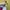 sweater rajut crop turtleneck GRL photo 6
