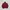 Knitwear Button By Rki Knit