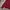 Knitwear Button by Rki Knit photo 7