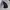 STUDIO T0MBOY INDIGO BLUE JEANS photo 4
