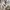 cardigan ketupat lengan balon oversize global work photo 4