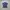 Kaos Jersey Outdoor The Red Face Navy Blue photo 3