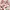 Minidress shirley tample cherry lace polkadot fullprint y2k photo 3