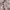 Miniskirt strawberry lace babypink coquette y2k kawaii cute photo 4
