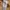 GANNI Drop Shoulder Layered Sweatshirt photo 7