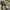 Tshirt nascar 2010 jimmie jhonson photo 8