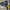 Tshirt nascar 2010 jimmie jhonson photo 7