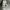 Thom browne 4bar boat icon vneck cardigan photo 8