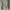 Thom browne 4bar boat icon vneck cardigan photo 6