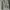 Thom Browne 4bar Boat Icon Vneck Cardigan