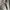 1990s Hysteric glamour M65 field jacket photo 7